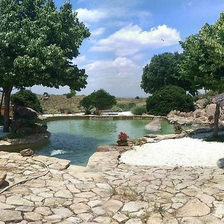 Вилла Finca El Cerco A 5M De Puy Du Fou Y 10M A Casco Antiguo De Toledo Архес Экстерьер фото