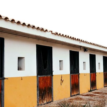 Вилла Finca El Cerco A 5M De Puy Du Fou Y 10M A Casco Antiguo De Toledo Архес Экстерьер фото