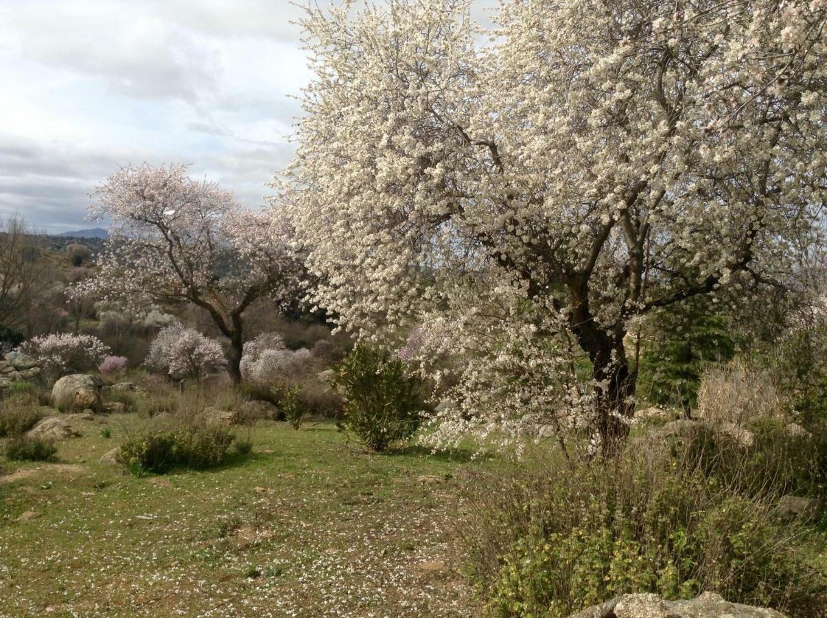 Вилла Finca El Cerco A 5M De Puy Du Fou Y 10M A Casco Antiguo De Toledo Архес Экстерьер фото