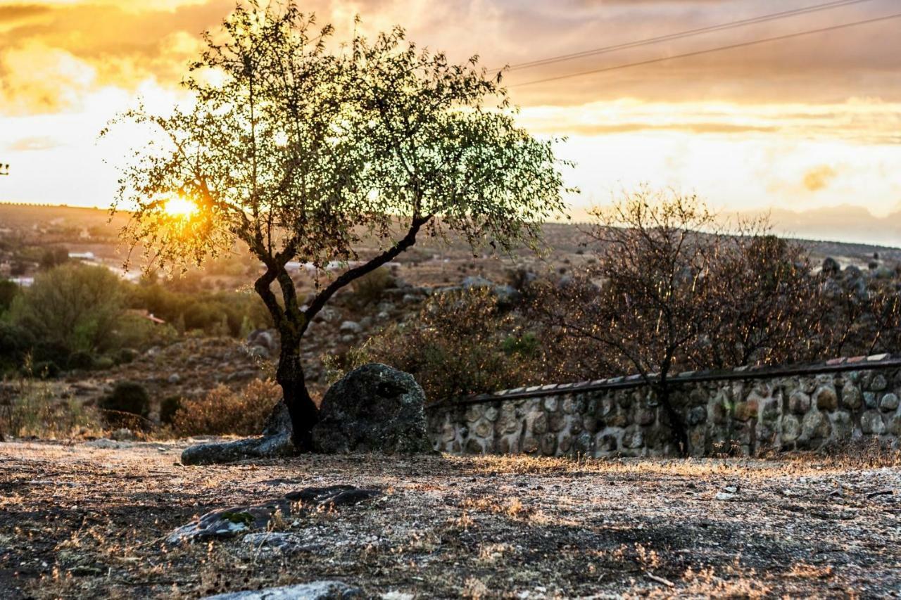 Вилла Finca El Cerco A 5M De Puy Du Fou Y 10M A Casco Antiguo De Toledo Архес Экстерьер фото