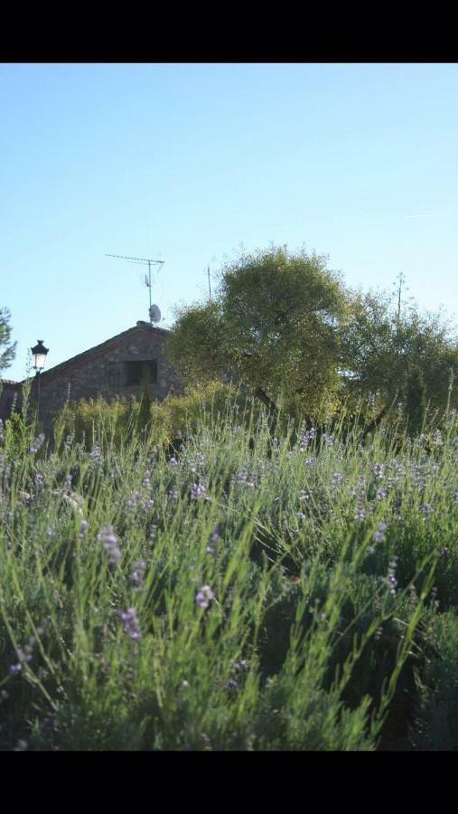 Вилла Finca El Cerco A 5M De Puy Du Fou Y 10M A Casco Antiguo De Toledo Архес Экстерьер фото