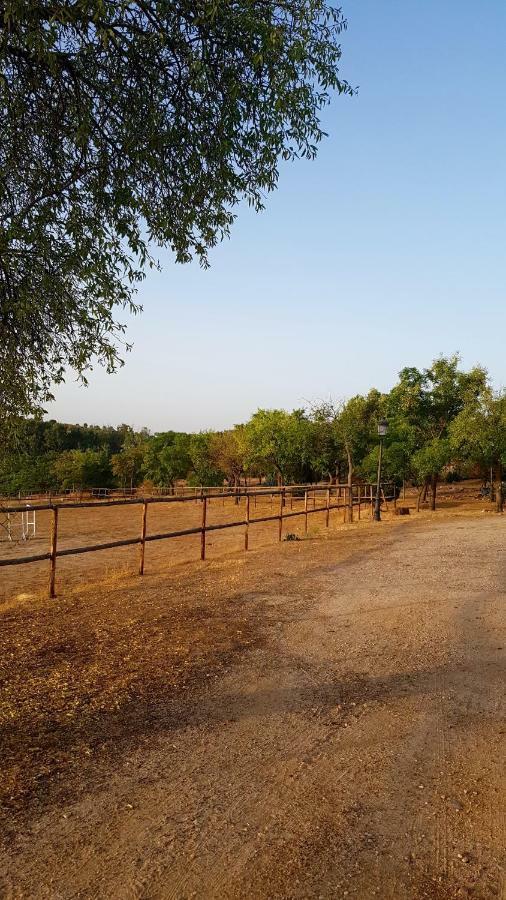 Вилла Finca El Cerco A 5M De Puy Du Fou Y 10M A Casco Antiguo De Toledo Архес Экстерьер фото