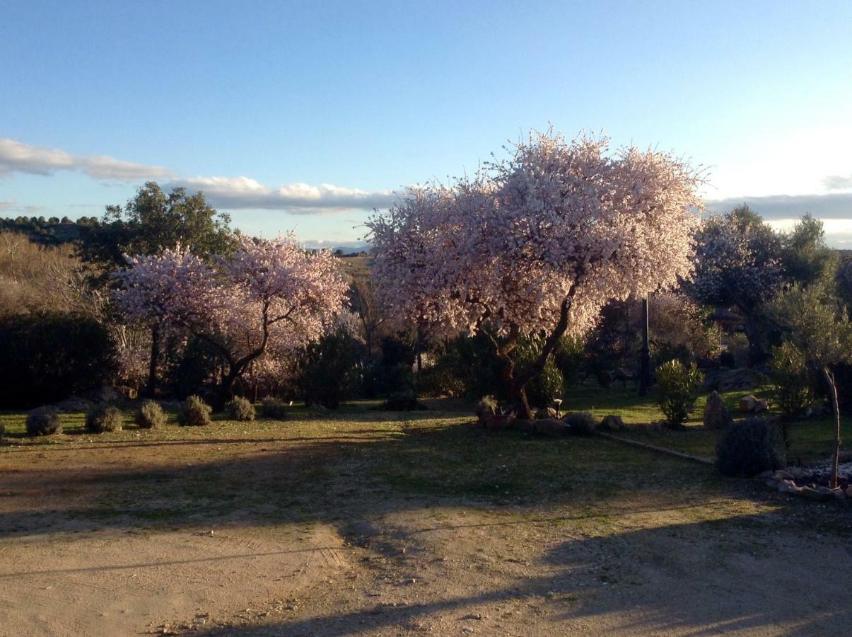 Вилла Finca El Cerco A 5M De Puy Du Fou Y 10M A Casco Antiguo De Toledo Архес Экстерьер фото