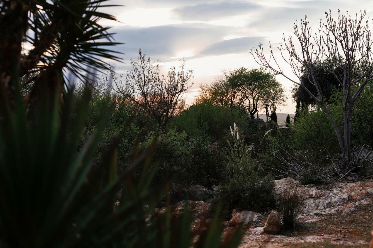 Вилла Finca El Cerco A 5M De Puy Du Fou Y 10M A Casco Antiguo De Toledo Архес Экстерьер фото