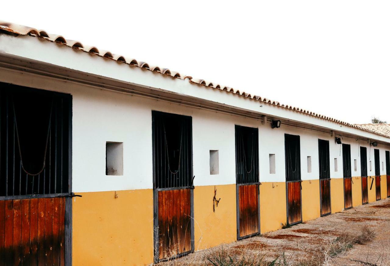 Вилла Finca El Cerco A 5M De Puy Du Fou Y 10M A Casco Antiguo De Toledo Архес Экстерьер фото